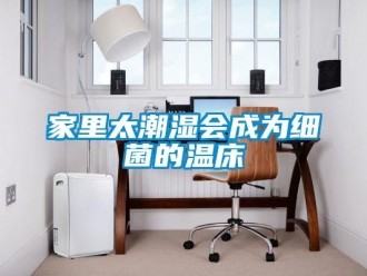 行業(yè)新聞家里太潮濕會成為細菌的溫床