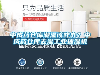 企業新聞中成藥倉庫潮濕該咋辦？中成藥倉庫去濕工業抽濕機