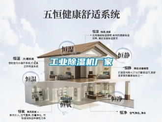 企業(yè)新聞工業(yè)除濕機(jī)廠家