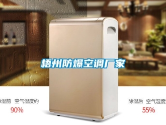 企業(yè)新聞梧州防爆空調(diào)廠家