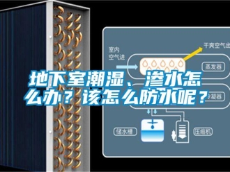 企業新聞地下室潮濕、滲水怎么辦？該怎么防水呢？