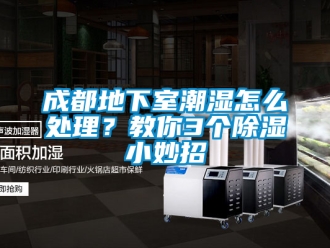 企業新聞成都地下室潮濕怎么處理？教你3個除濕小妙招
