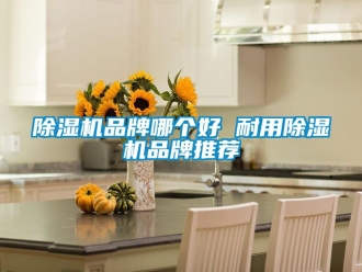 企業新聞除濕機品牌哪個好 耐用除濕機品牌推薦