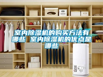 行業新聞室內除濕機的購買方法有哪些 室內除濕機的優點是哪些