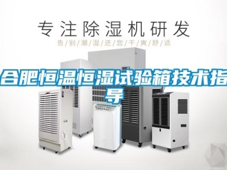 知識百科合肥恒溫恒濕試驗箱技術指導