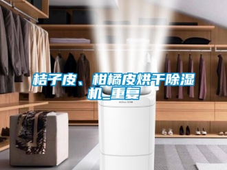 行業新聞桔子皮、柑橘皮烘干除濕機_重復