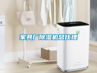 行業(yè)新聞家具廠(chǎng)除濕機(jī)總代理
