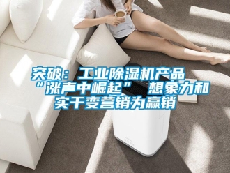 知識百科突破：工業除濕機產品“漲聲中崛起” 想象力和實干變營銷為贏銷