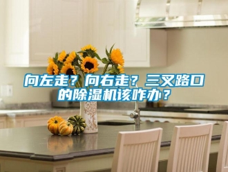 知識百科向左走？向右走？三叉路口的除濕機該咋辦？
