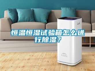 知識百科恒溫恒濕試驗箱怎么進行除濕？