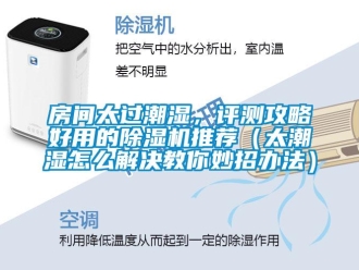 行業(yè)新聞房間太過潮濕，評(píng)測攻略好用的除濕機(jī)推薦（太潮濕怎么解決教你妙招辦法）