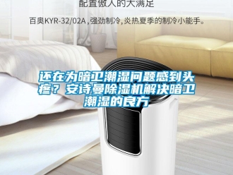 企業新聞還在為暗衛潮濕問題感到頭疼？安詩曼除濕機解決暗衛潮濕的良方