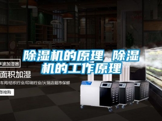 企業(yè)新聞除濕機的原理 除濕機的工作原理