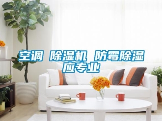 行業(yè)新聞空調(diào)≠除濕機(jī) 防霉除濕應(yīng)專業(yè)