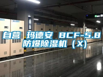 企業新聞自營 瑪德安 BCF-5.8 防爆除濕機（X)