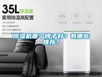行業新聞除濕機哪個牌子好？有哪些推薦？