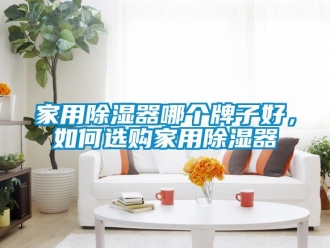 行業新聞家用除濕器哪個牌子好，如何選購家用除濕器