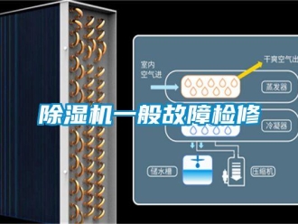 企業(yè)新聞除濕機(jī)一般故障檢修