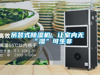 企業(yè)新聞吊裝式除濕機(jī)，讓室內(nèi)無“濕”可生非