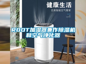 企業新聞ROOT加濕器兼作除濕機和空氣凈化器