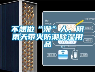 企業新聞不想做“潮”人，陰雨天帶火防潮除濕用品