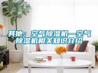 行業(yè)新聞其他：空氣除濕機—空氣除濕機相關知識介紹