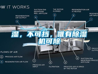 知識百科濕，不可擋，唯有除濕機(jī)可除