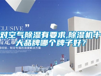 企業新聞對空氣除濕有要求,除濕機十大品牌哪個牌子好？
