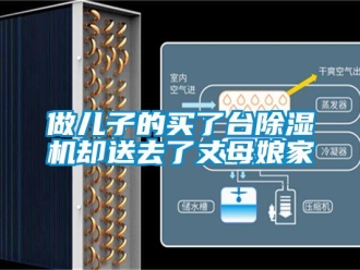 行業(yè)新聞做兒子的買了臺(tái)除濕機(jī)卻送去了丈母娘家