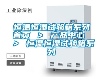 知識百科恒溫恒濕試驗箱系列首頁 ＞ 產品中心 ＞ 恒溫恒濕試驗箱系列