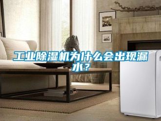 企業新聞工業除濕機為什么會出現漏水？