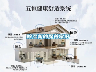 企業新聞除濕機的保養常識
