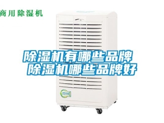 企業新聞除濕機有哪些品牌 除濕機哪些品牌好