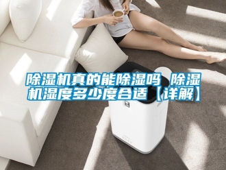 行業新聞除濕機真的能除濕嗎 除濕機濕度多少度合適【詳解】