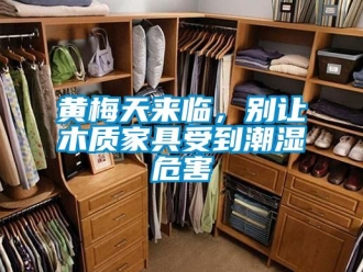行業新聞黃梅天來臨，別讓木質家具受到潮濕危害