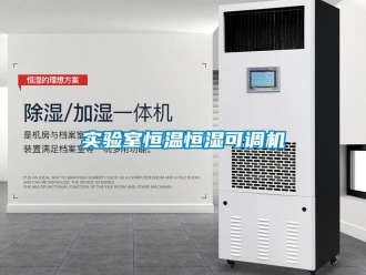 知識百科實驗室恒溫恒濕可調機