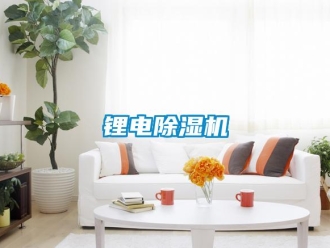 行業新聞鋰電除濕機