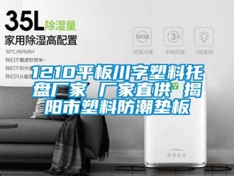 企業新聞1210平板川字塑料托盤廠家 廠家直供 揭陽市塑料防潮墊板