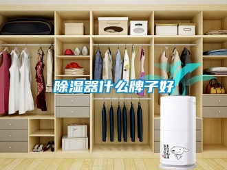 行業新聞除濕器什么牌子好
