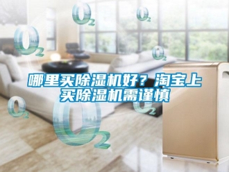行業(yè)新聞哪里買除濕機(jī)好？淘寶上買除濕機(jī)需謹(jǐn)慎