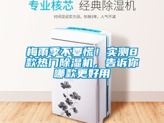行業新聞梅雨季不要慌！實測8款熱門除濕機，告訴你哪款更好用
