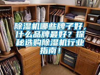 企業新聞除濕機哪些牌子好，什么品牌最好？探秘選購除濕機行業指南！