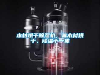 行業新聞木材烘干除濕機，集木材烘干、除濕于一體