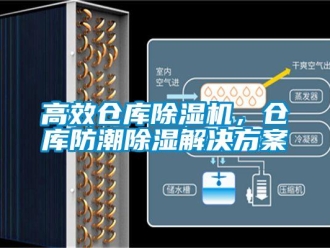 企業新聞高效倉庫除濕機，倉庫防潮除濕解決方案