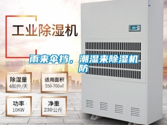 知識百科雨來傘擋，潮濕來除濕機防