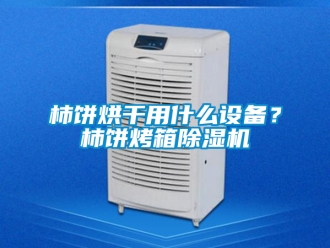 行業新聞柿餅烘干用什么設備？柿餅烤箱除濕機