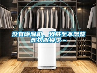 行業新聞沒有除濕機，我甚至不想整理衣服換季～