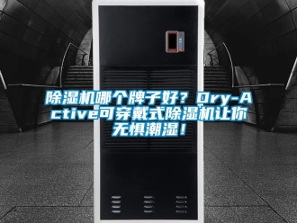 行業(yè)新聞除濕機哪個牌子好？Dry-Active可穿戴式除濕機讓你無懼潮濕！