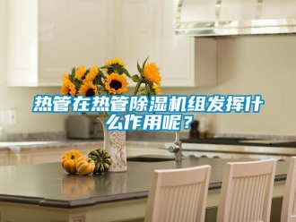 行業(yè)新聞熱管在熱管除濕機(jī)組發(fā)揮什么作用呢？