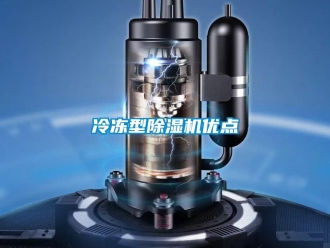 行業(yè)新聞冷凍型除濕機(jī)優(yōu)點(diǎn)